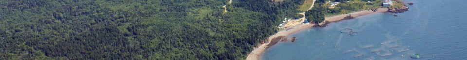 Call to action on coastal protection